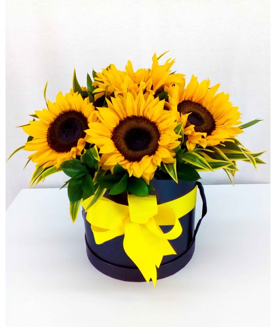 ERES MI SOL ERES MI SOL